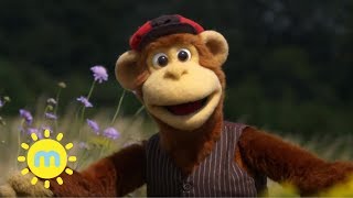 Milkshake! Monkey | Mary Mary | Songs