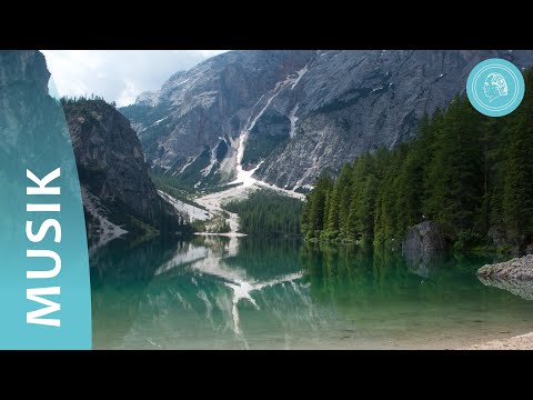 Sounds of nature - Strolling through the reigns of nature with the music from Bruno Groening friends