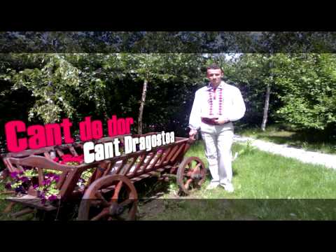 Cânt cu dor, cânt dragostea. Valentin Butucel