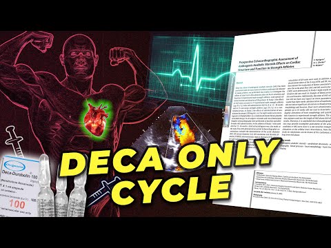Echocardiogram Results Before And After Low Dose Deca Only Cycle