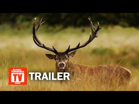 The Year Earth Changed Trailer #1 (2021) | Rotten Tomatoes TV