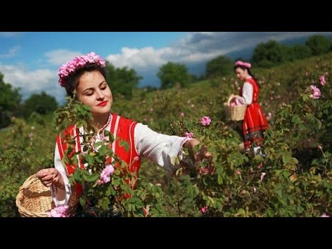 Thrace and Ancient European History - ROBERT SEPEHR