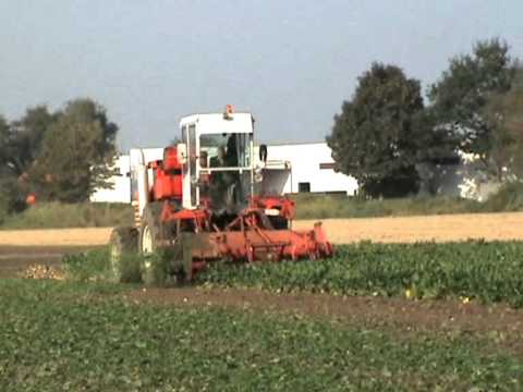 Loonw. Callens - Heestert