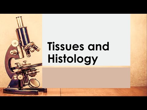 Basic Anatomy & Physiology 04 | TISSUES & HISTOLOGY   Reference   Seeley's