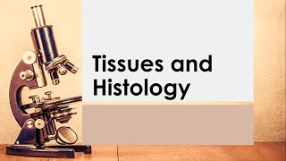 Basic Anatomy & Physiology 04 | TISSUES & HISTOLOGY   Reference   Seeley's