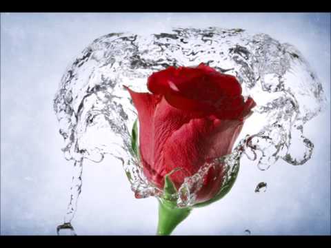 Aretha Franklin ~ \ Someone Else's Eyes \ ❤️♫~ 1991