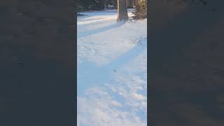 Snow day in Monroe ga