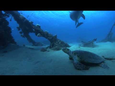 Aquatic Ambiance VGM Remix   HD