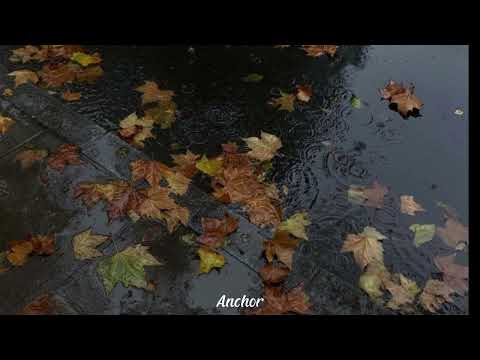 a playlist for the rainy day | 🌧☔️