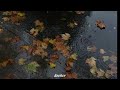 A Playlist For The Rainy Day ️