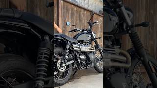 This is madness! #straightpipes #triumph #scrambler