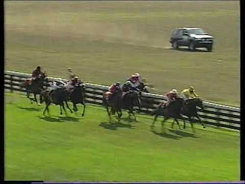 1995 Yorkshire Oaks Pure Grain Includes Replay