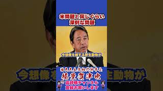 米問題と同じぐらい深刻な問題 #榛葉幹事長 #国民民主党 #shorts
