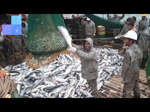 Amazing Net Fishing Under Ice Catch Hundreds Tons of Big Fish || Catching Super Giant Ocean Tuna