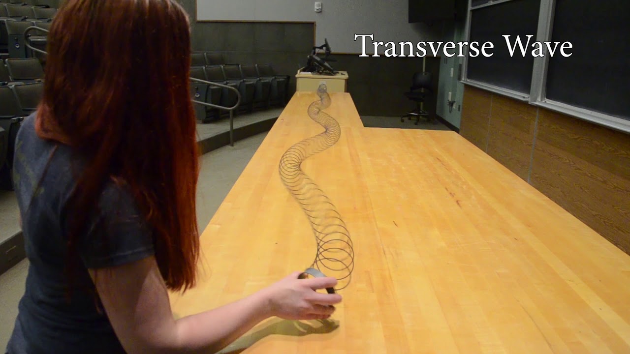 3B10.20 - Table Slinky