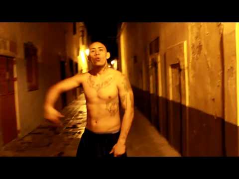 MOWLEE THE PERRO LOKO _ VIDEO PROMO EN LA CALLE EN EL OCTAGONO O EN LA TARIMA