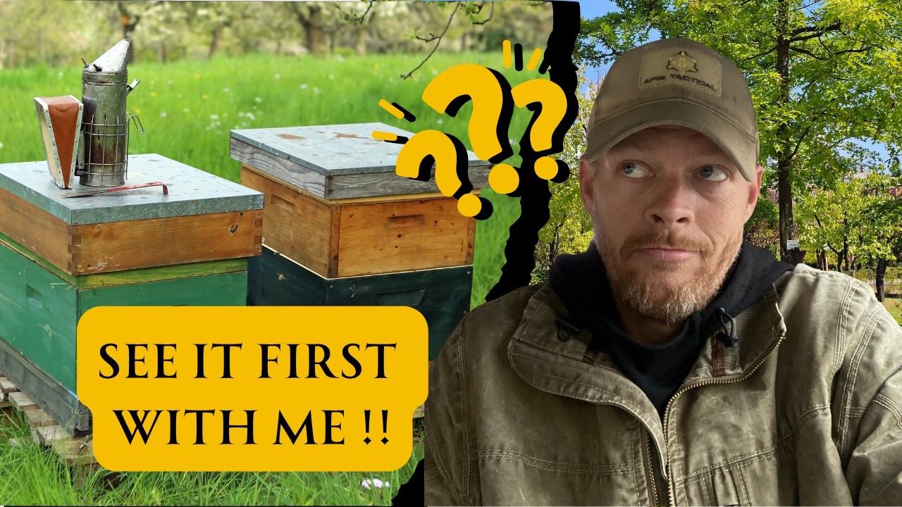 Blind Hive Inspection, First Spring Inspection on this Colony