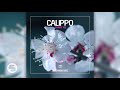 Calippo - Carry Me (Original Club Mix)
