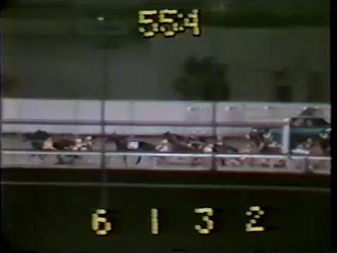 1982 Genghis Khan Meadowlands Track Record