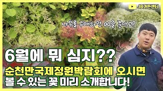 6월에는 뭐 심지 ?? 고민을 해결하러 JB가든센터 큰 맘 먹고 순천만국제정원박람회로 갑니다 !! 보너스 이…