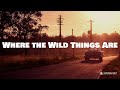Where the Wild Things Are (Lyrics) - Luke Combs | Road Radio