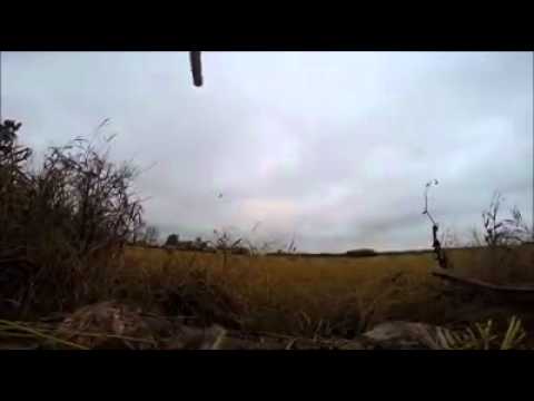 Agassiz Waterfowl Video