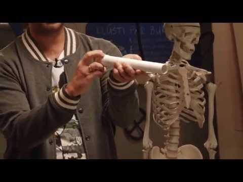 ZB 5ser - Sniega vētra studijā