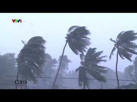 颱風莫拉維襲擊越南海岸 (Typhoon Molave lashes Vietnam coast)