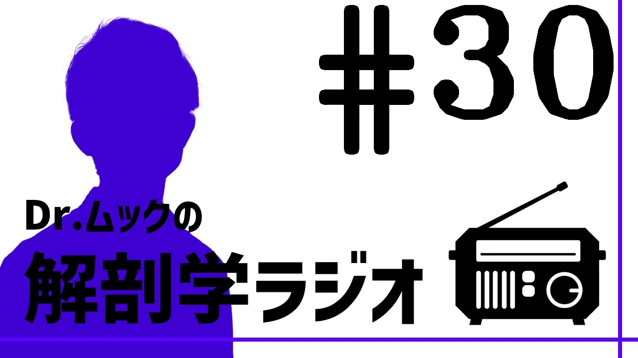解剖学ラジオ#30 解剖学的変異を分類して頻度を書く研究は本当にくだらないのか