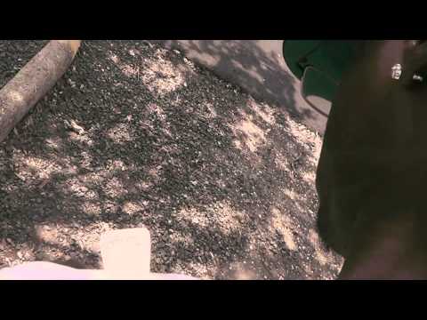 Nu Money   Where I Am ft Mr  Freaky R I P)