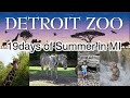 Detroit Zoo Part2 Many Animals Japanese Monkey Baby Giraffe Juhudi
