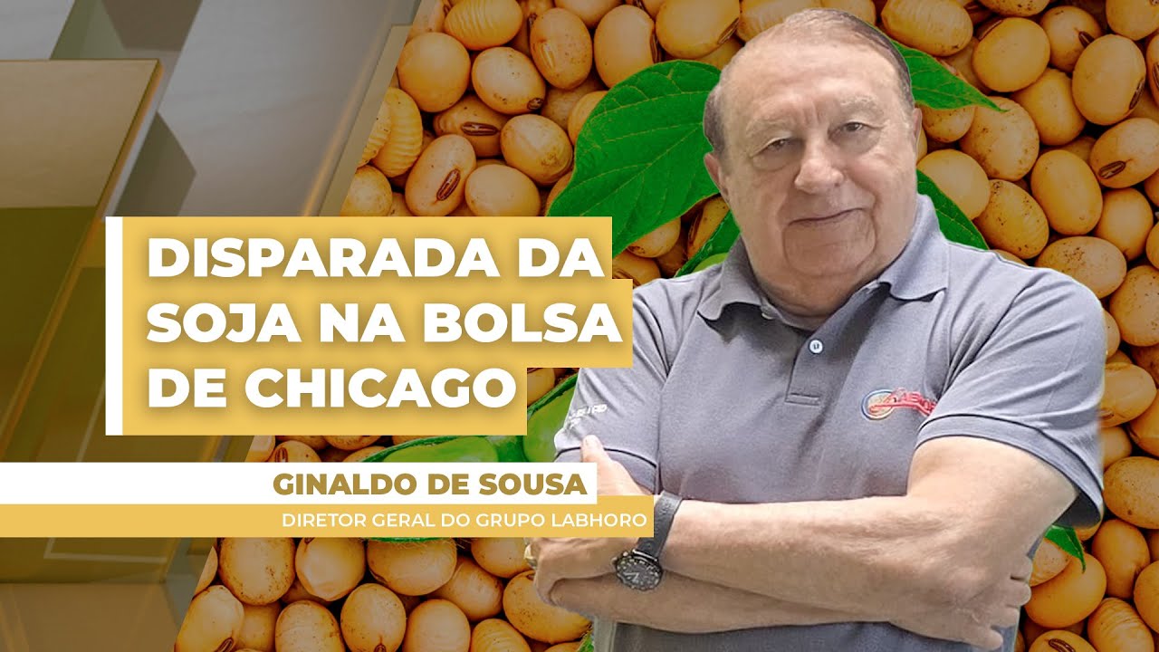 Soybeans rise nearly 2% in Chicago amid bullish USDA report, China-US deal; prices rise ...