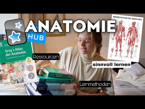 How I learned anatomy | Resources, learning methods, etc.
