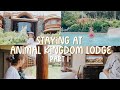 SLEEPOVER AT DISNEY S ANIMAL KINGDOM LODGE