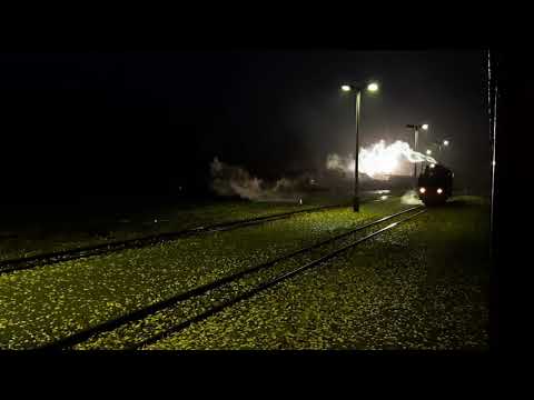 Harzer Schmalspurbahn 2020 / Die Selketalbahn (01.11.2020)