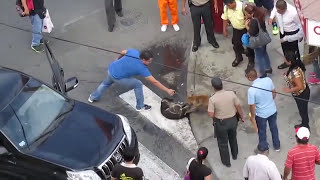 [問卦] 比特犬越受攻擊咬越緊？