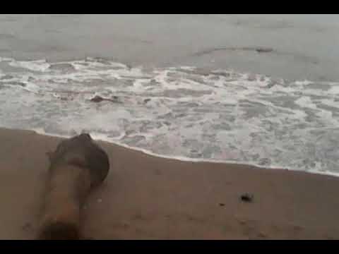 katubuhan beach in panggasinan