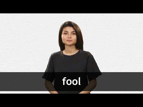 FOOL definition and meaning | Collins English Dictionary