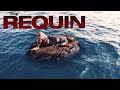 The Requin (2022) Scary Trailer with Alicia Silverstone & James Tupper