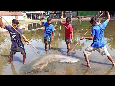 Фото Best Fishing💖Spearfishing & catch Hug-fish💖The first Trap Can Catch lot of fish💖Unbelievable Fishing