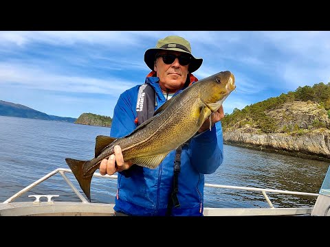 Lure Fishing In Norway - Cod & Pollack On Soft Plastics - Skarsundet