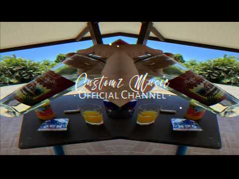 B4D_VBZ_X_LENA_VAN_WOOD_-_NUMBER_ONE_(REMIX_2023)