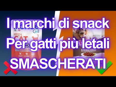 10 Snack per Gatti da EVITARE a Tutti i Costi! (E Alcuni Che Sono Sicuri!)