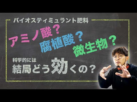 プロスタンテラについて詳しく解説