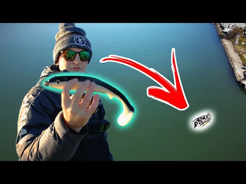 BIG Swimbaits For Lake St. Clair MUSKY (ft. Angling Anarchy)