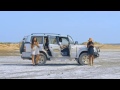 Oya come make we go Official video by 2baba ft Sauti soul