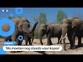 Extra geld voor dierentuinen in nood