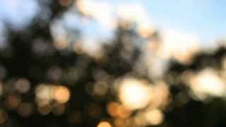 Alejandro Sanz feat. Jamie Foxx &amp; Emeli Sandé - This Game Is Over (Lyric Video)