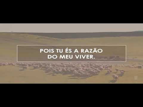 Domingo de Evangelismo: lição 15 Um tempo de angústia sem precedentes 18/02/2024