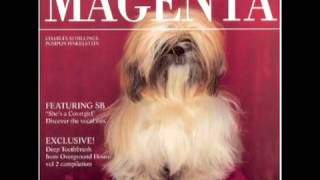 Magenta - She's Model EP